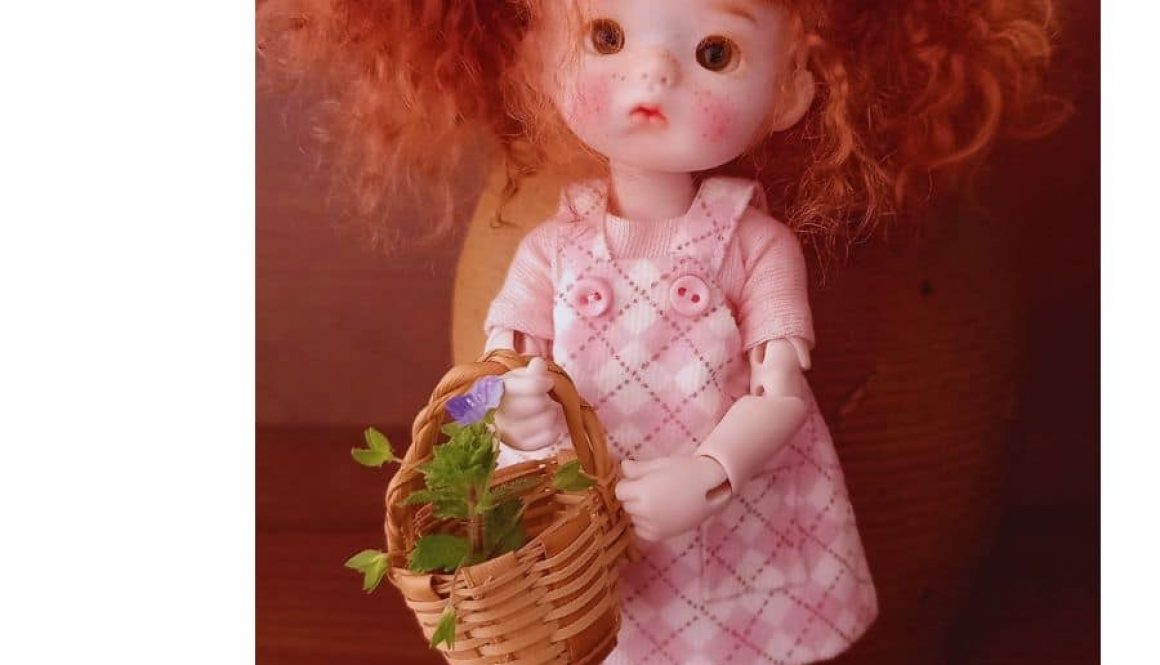 Photo de la poupée LSJ
