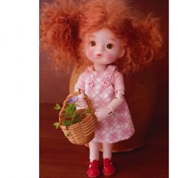 Photo de la poupée LSJ