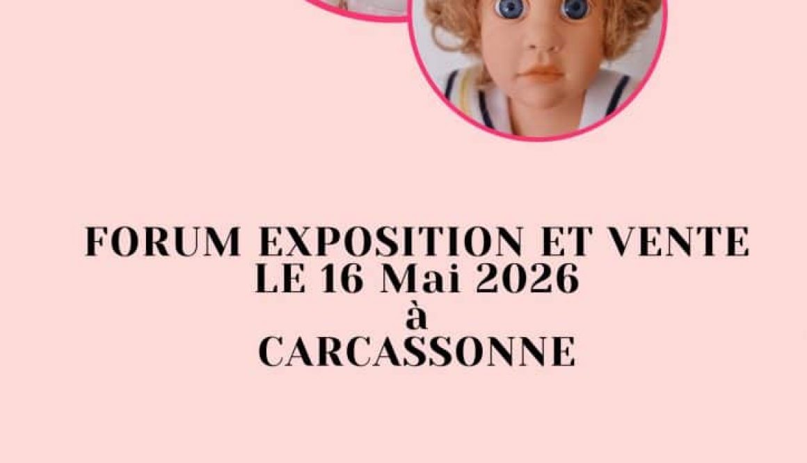 Photo de la rencontre à Carcassonne