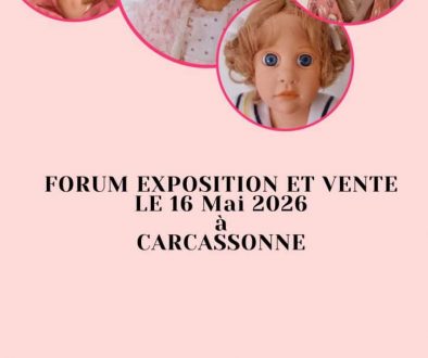 Photo de la rencontre à Carcassonne